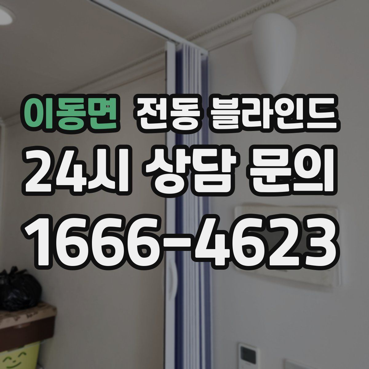 이동면 전동 블라인드