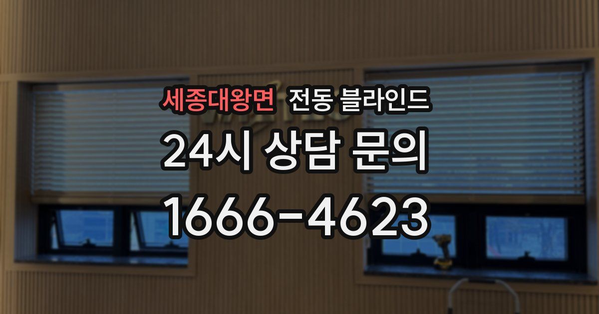 세종대왕면 전동 블라인드