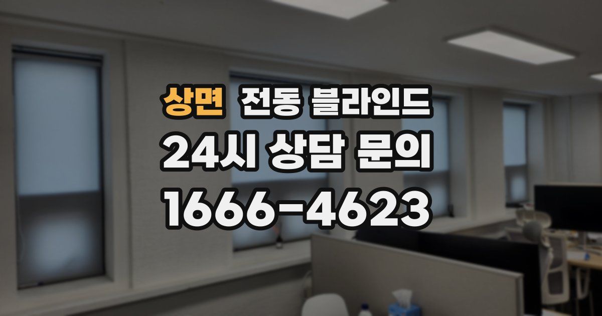 상면 전동 블라인드