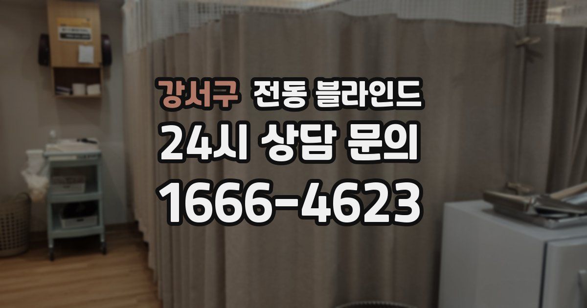 강서구 전동 블라인드