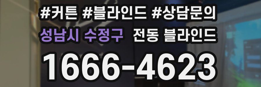 성남시 수정구 전동 블라인드