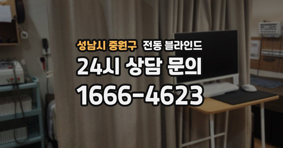 성남시 중원구 전동 블라인드