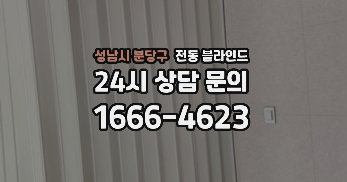 성남시 분당구 전동 블라인드