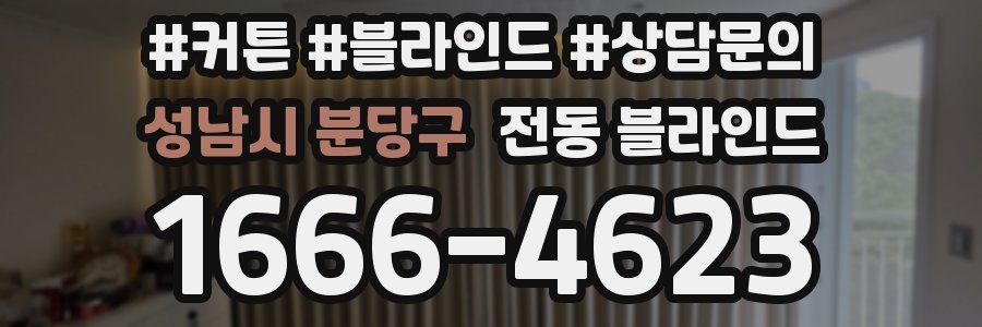 성남시 분당구 전동 블라인드