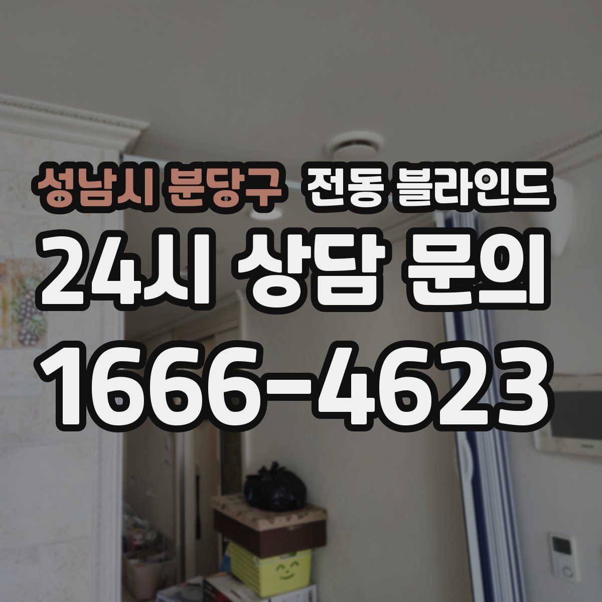 성남시 분당구 전동 블라인드
