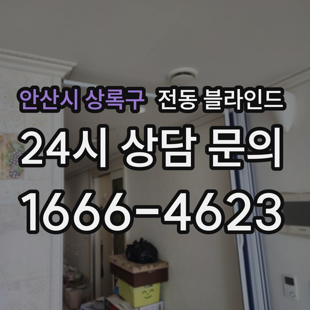 안산시 상록구 전동 블라인드