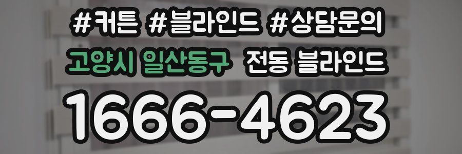 고양시 일산동구 전동 블라인드