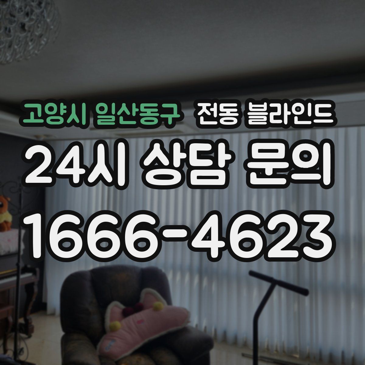 고양시 일산동구 전동 블라인드