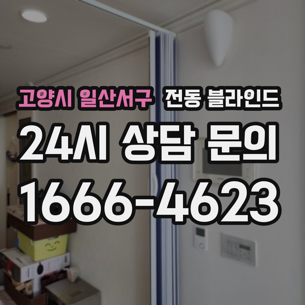 고양시 일산서구 전동 블라인드
