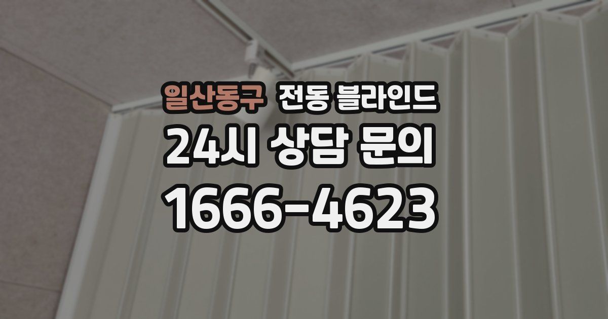 일산동구 전동 블라인드