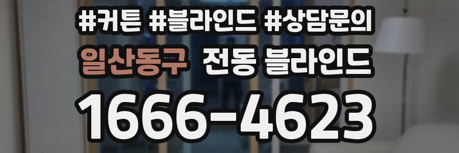 일산동구 전동 블라인드