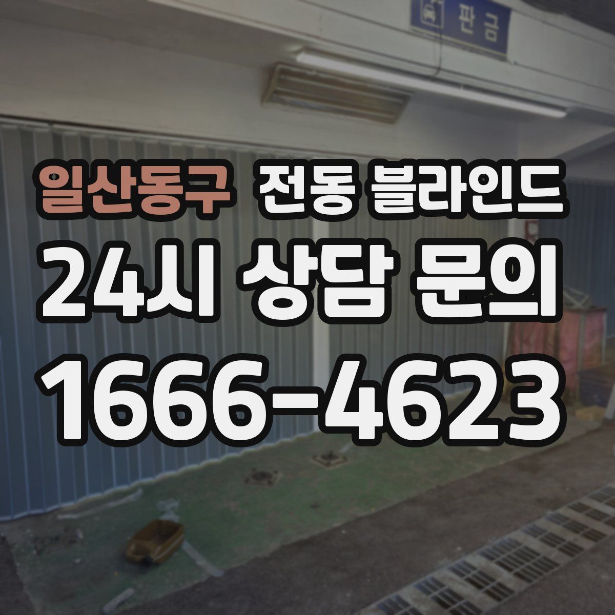일산동구 전동 블라인드