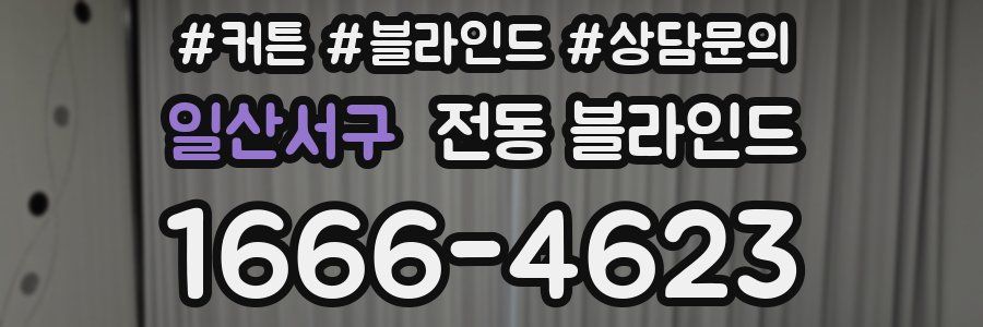 일산서구 전동 블라인드