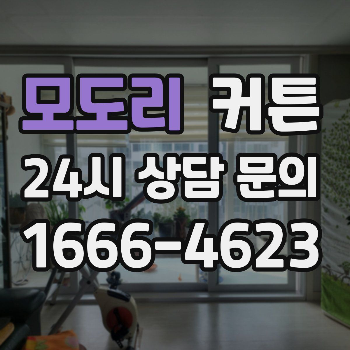 모도리 커튼
