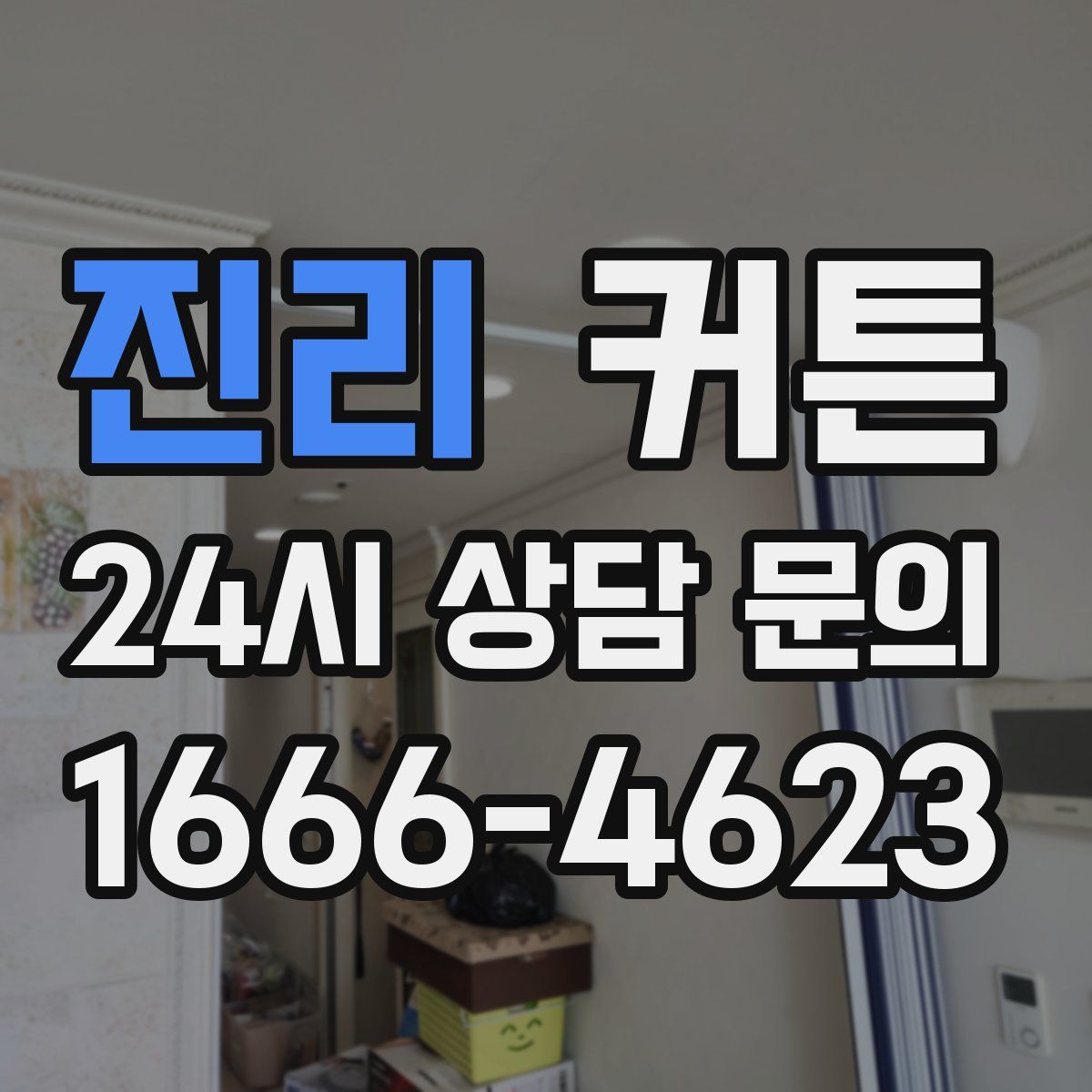 진리 커튼