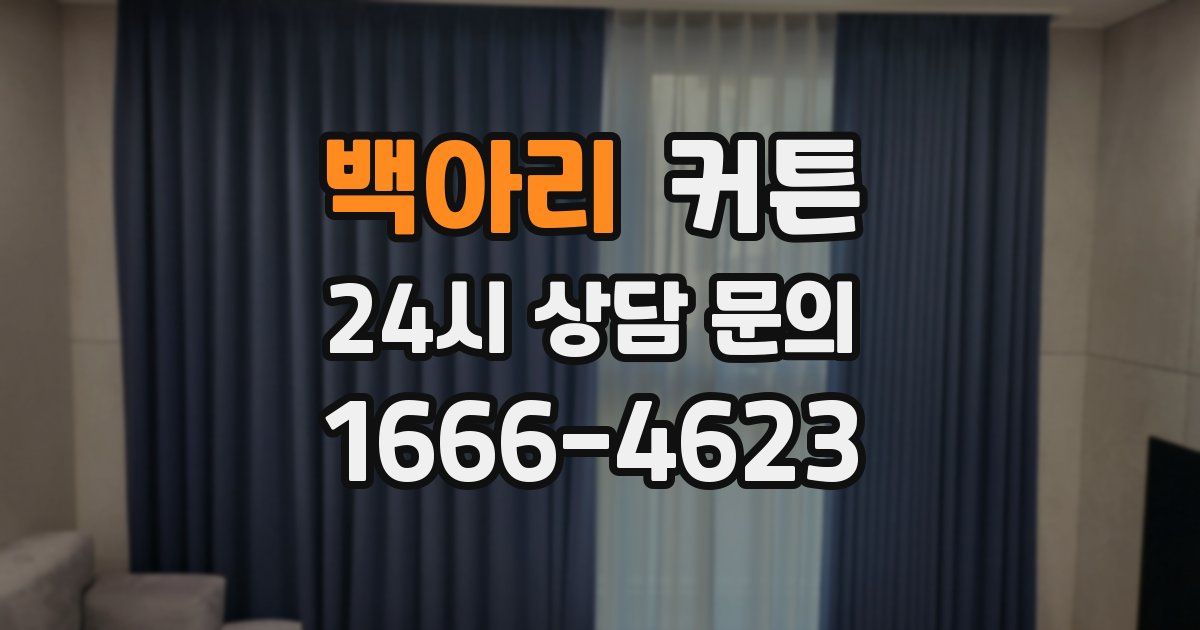 백아리 커튼