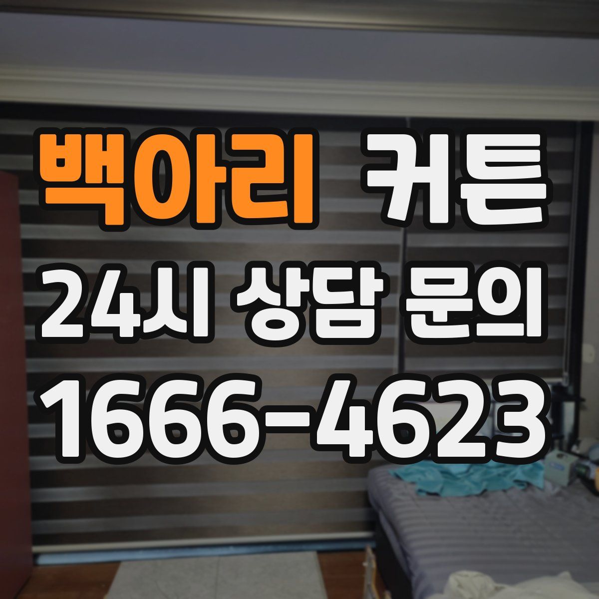 백아리 커튼