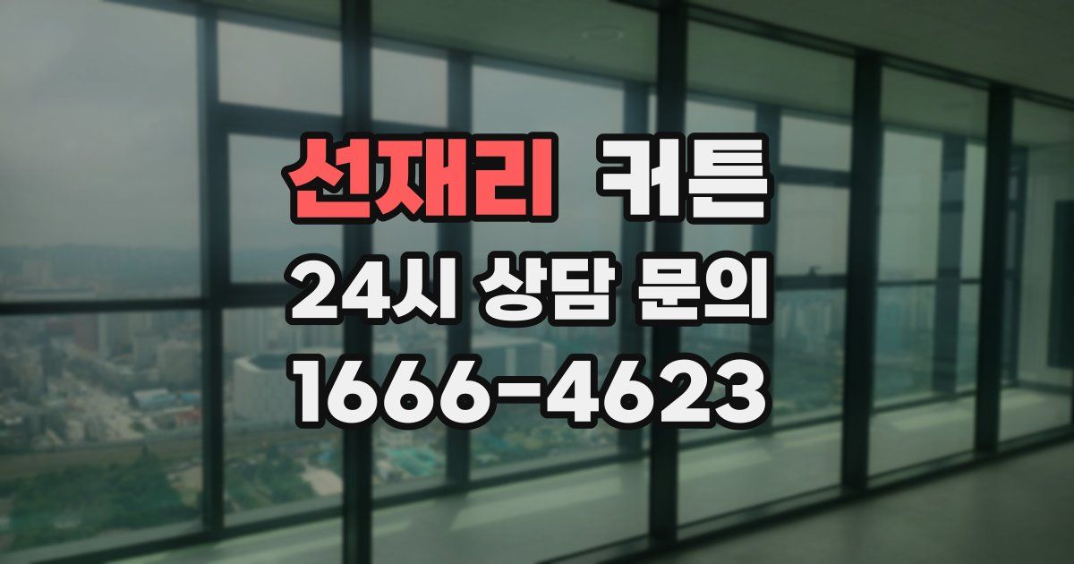 선재리 커튼