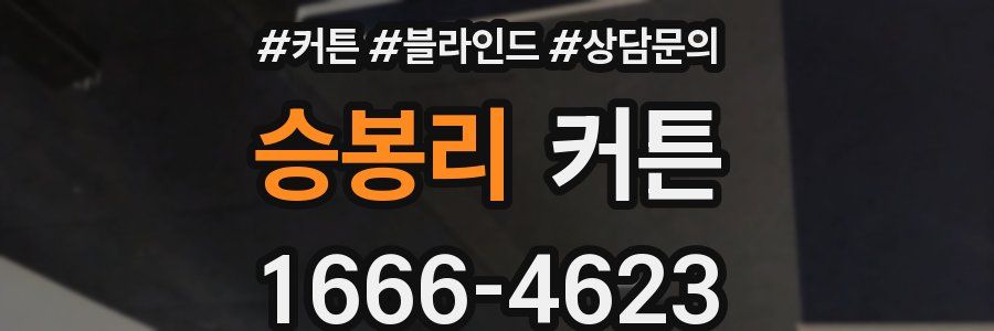승봉리 커튼