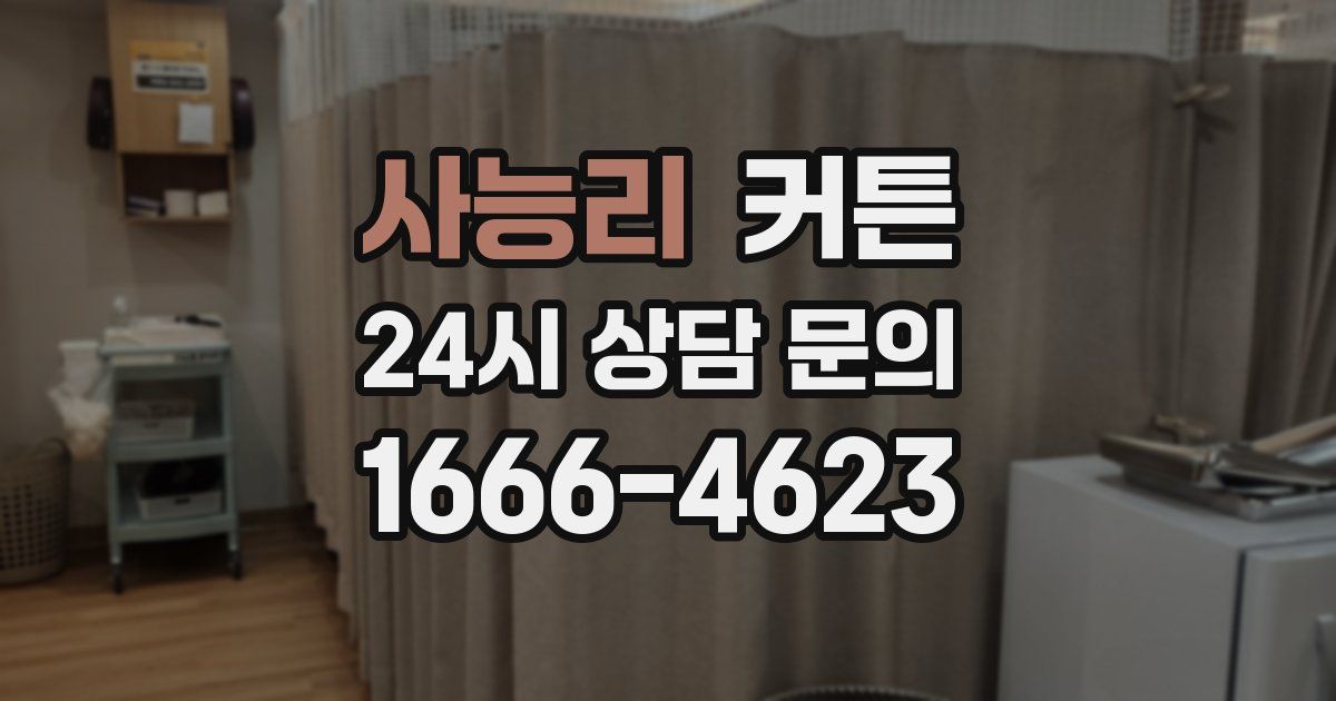 사능리 커튼