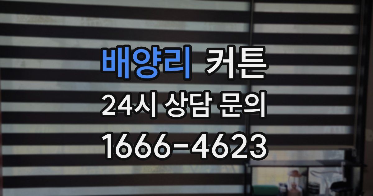 배양리 커튼