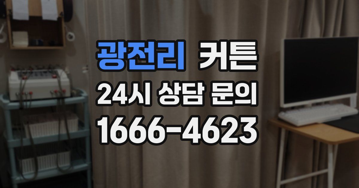 광전리 커튼