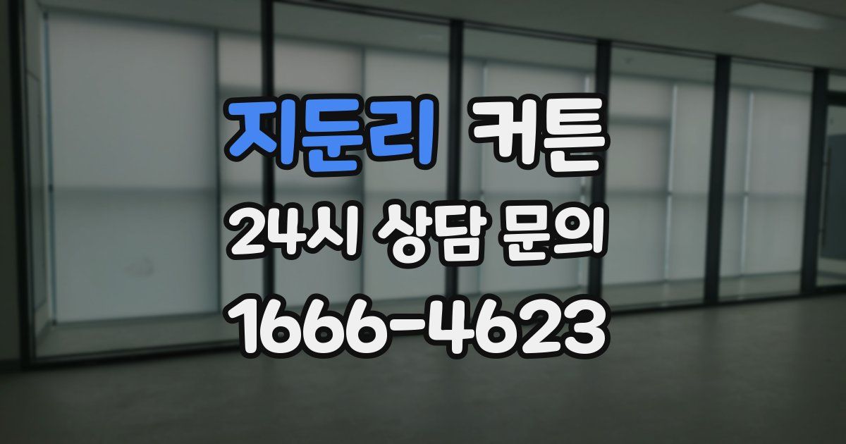 지둔리 커튼