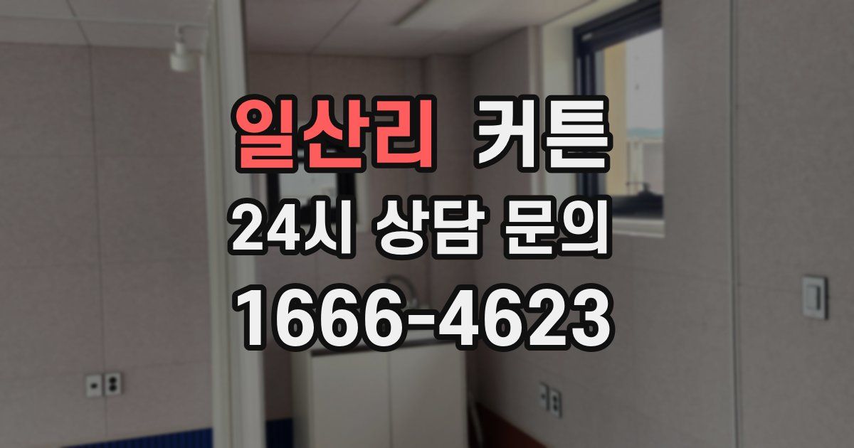 일산리 커튼