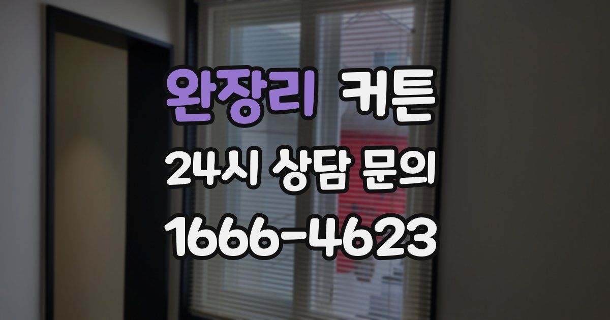 완장리 커튼