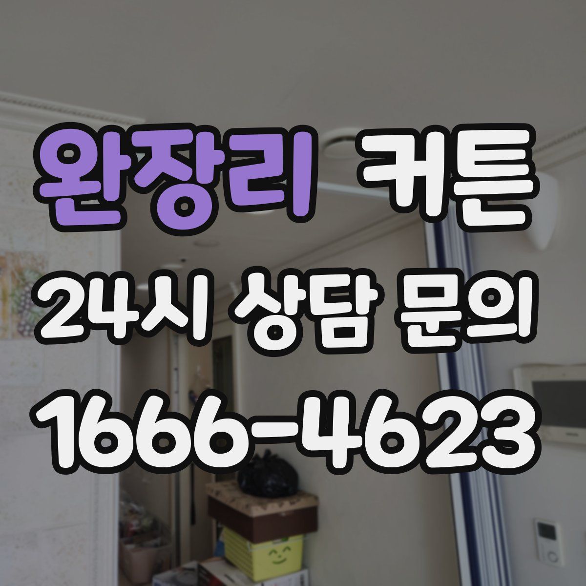 완장리 커튼