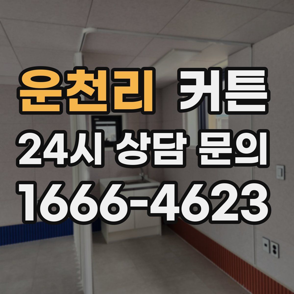 운천리 커튼