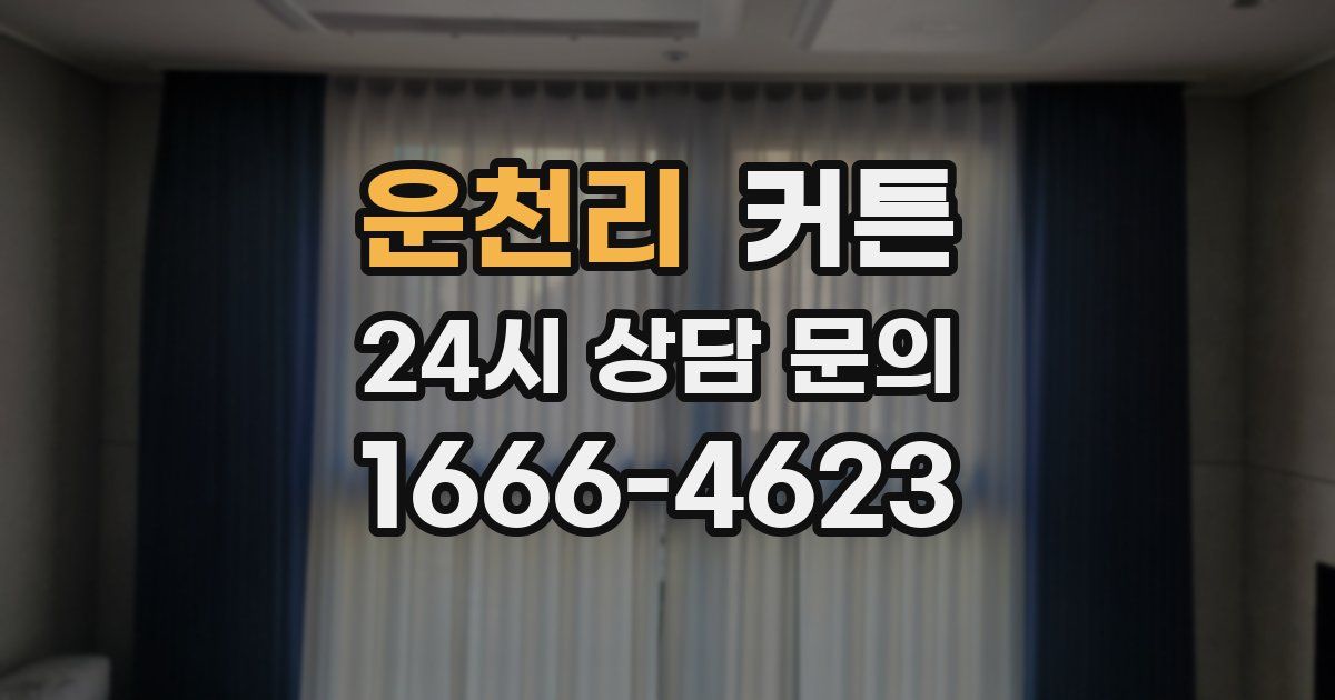 운천리 커튼