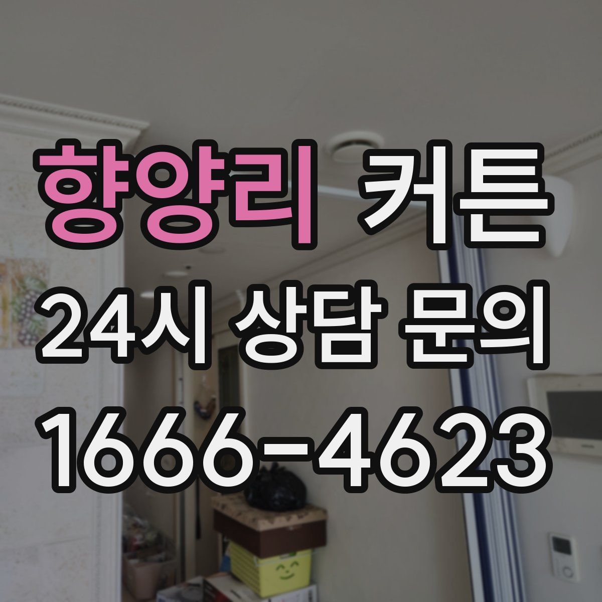 향양리 커튼