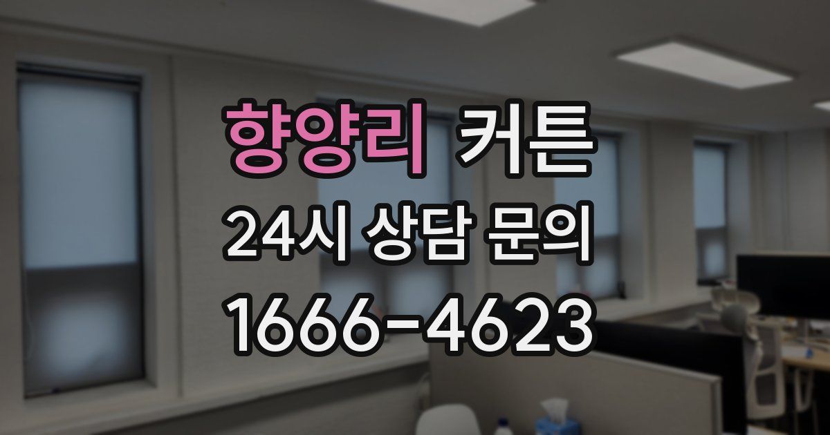 향양리 커튼