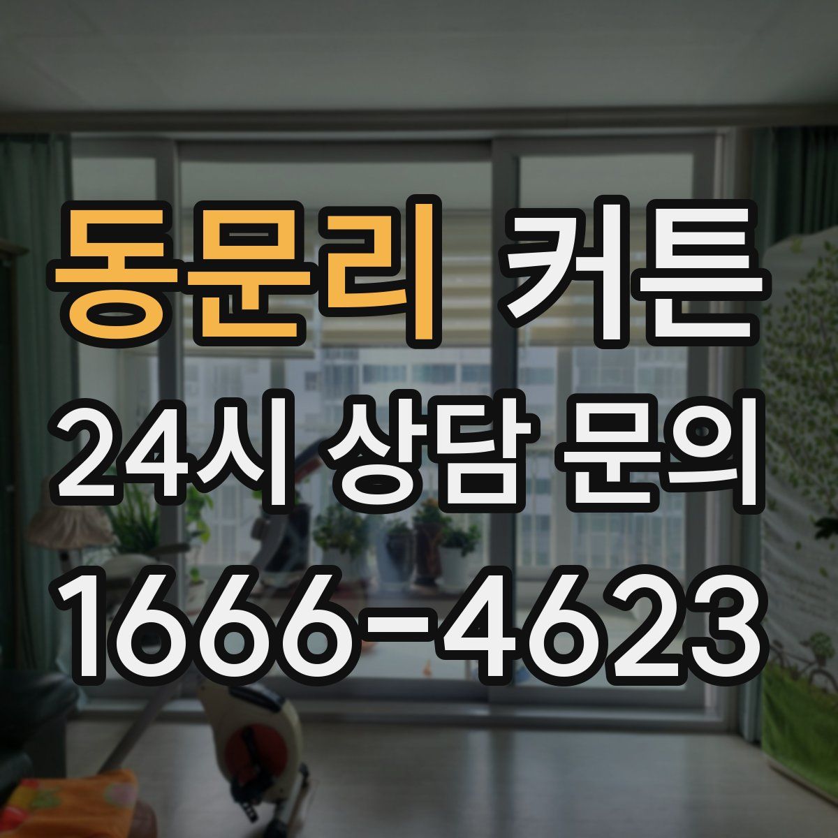 동문리 커튼