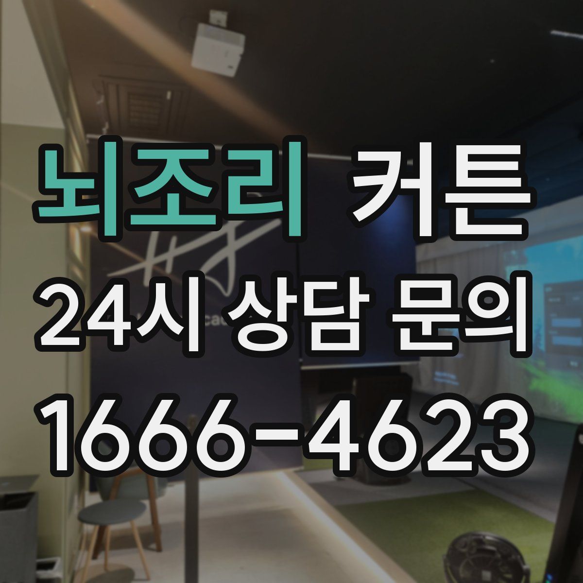 뇌조리 커튼