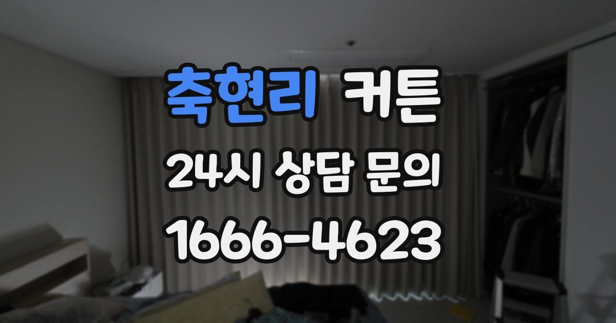축현리 커튼