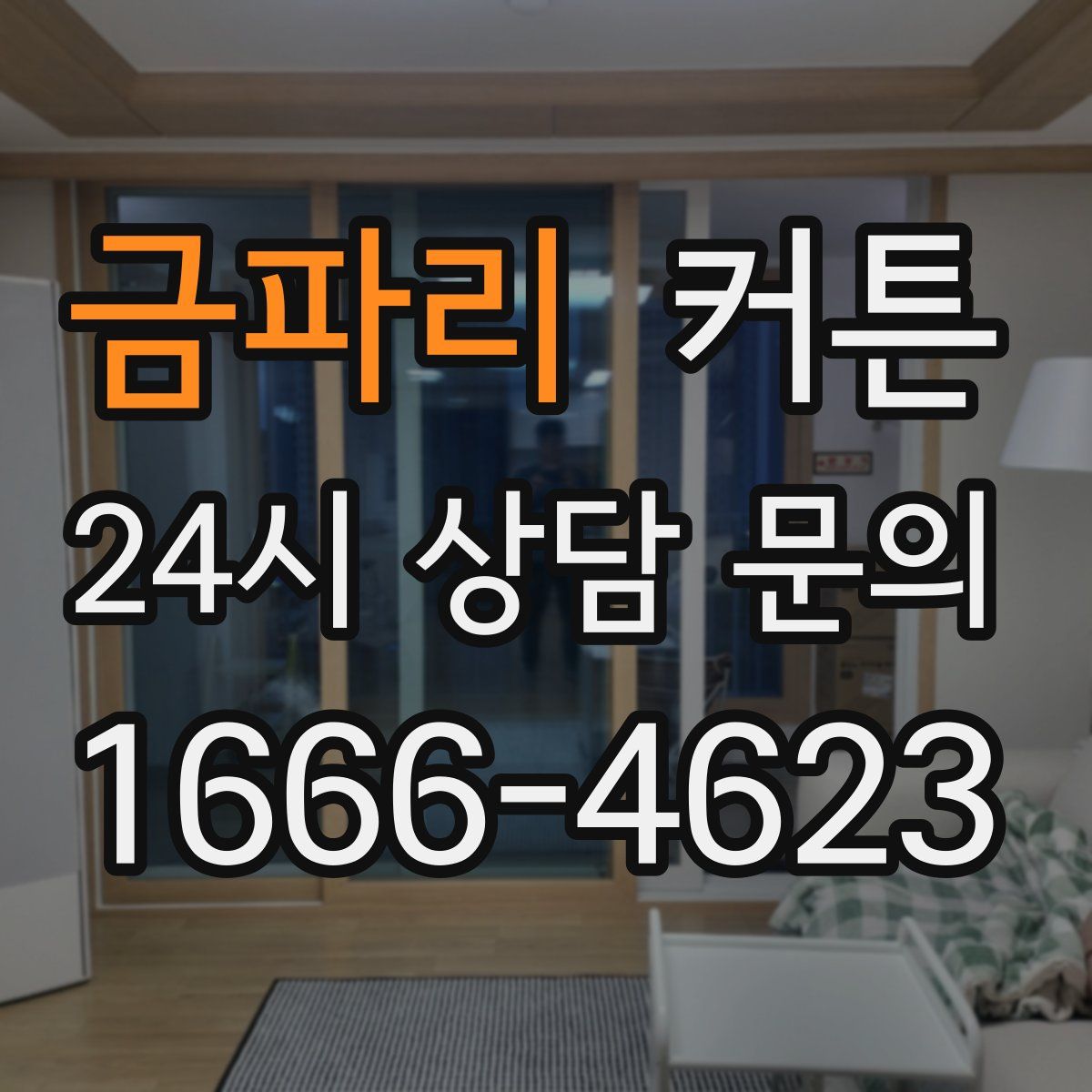 금파리 커튼
