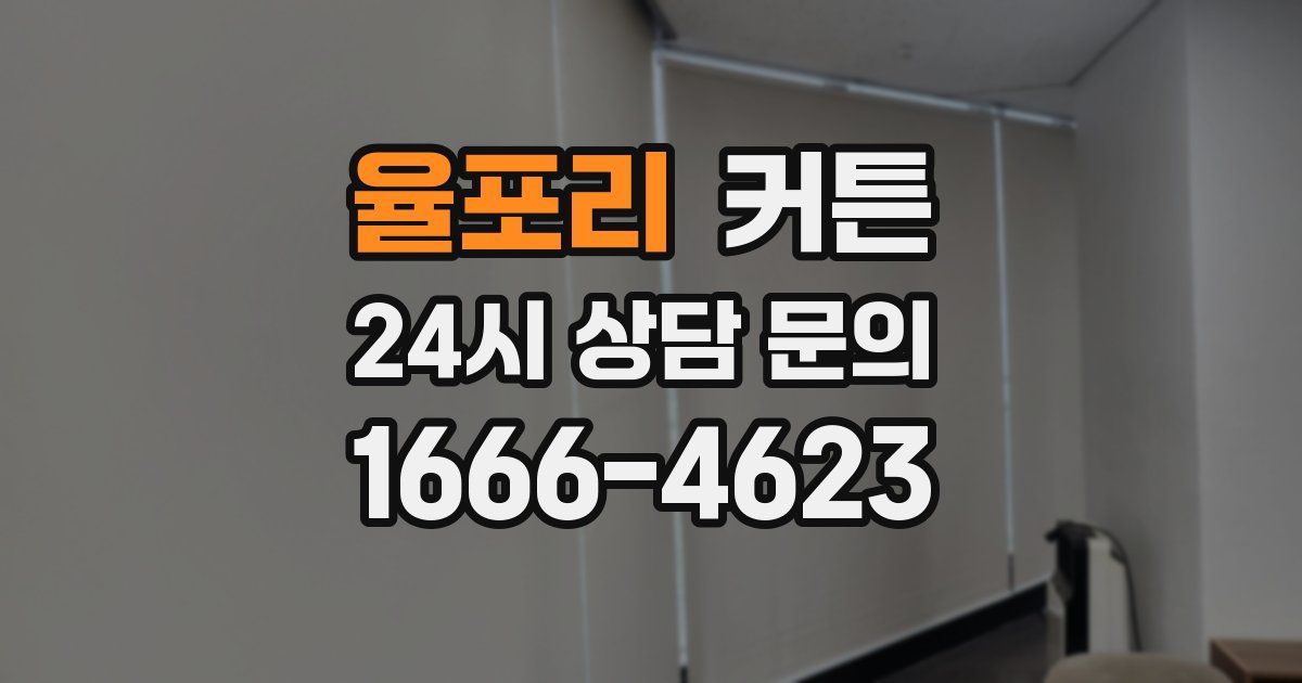 율포리 커튼