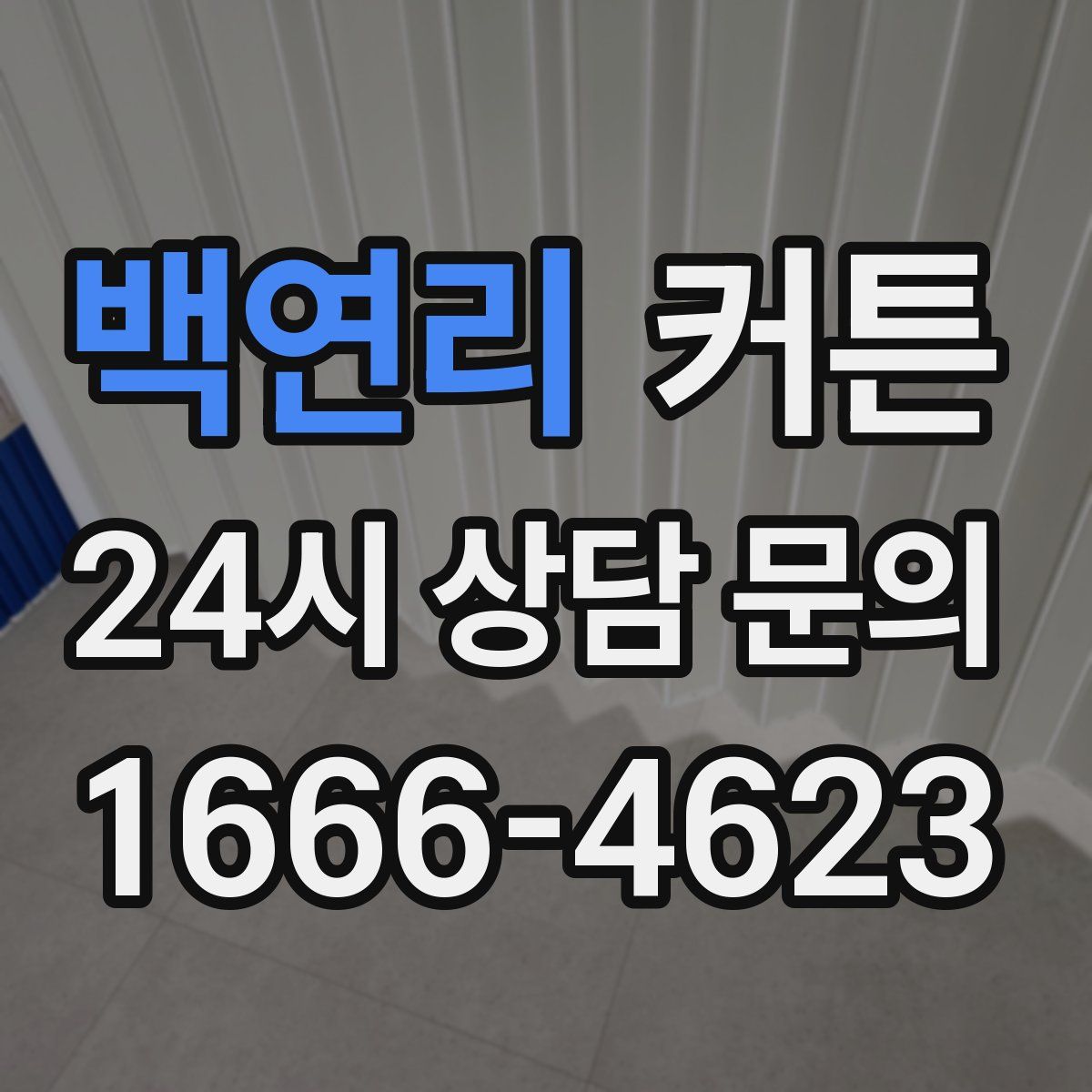백연리 커튼