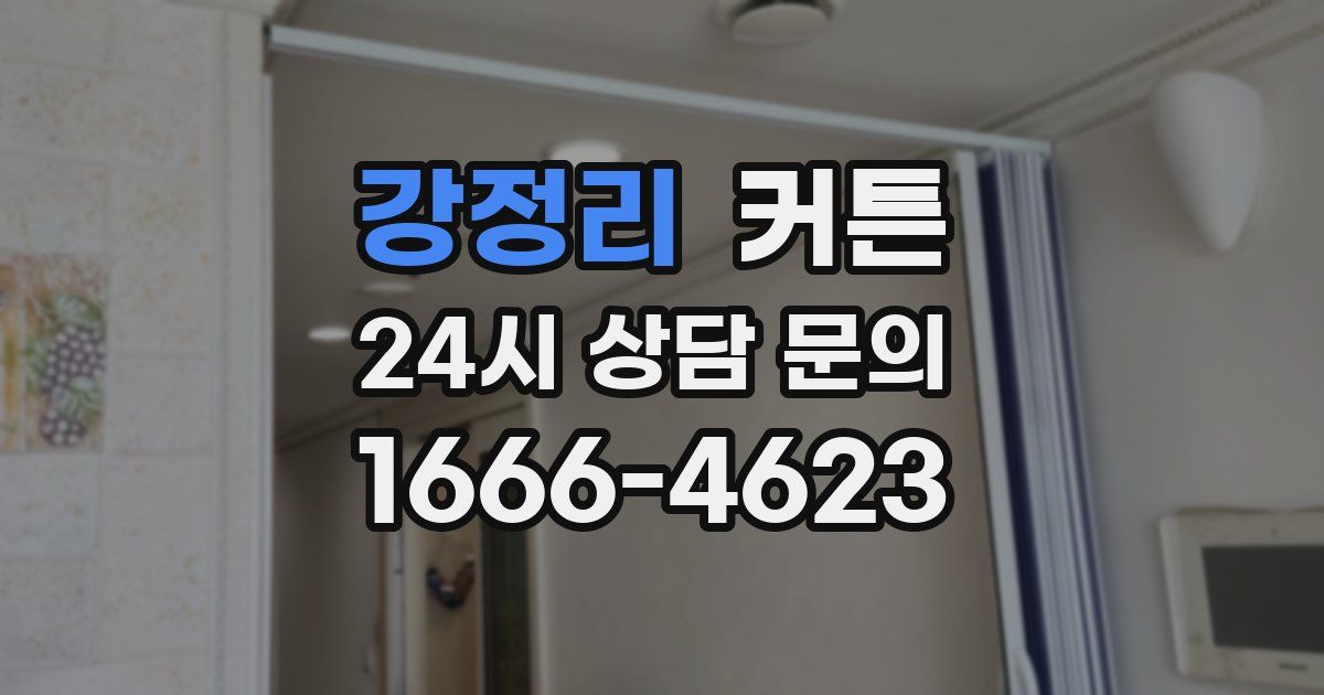 강정리 커튼