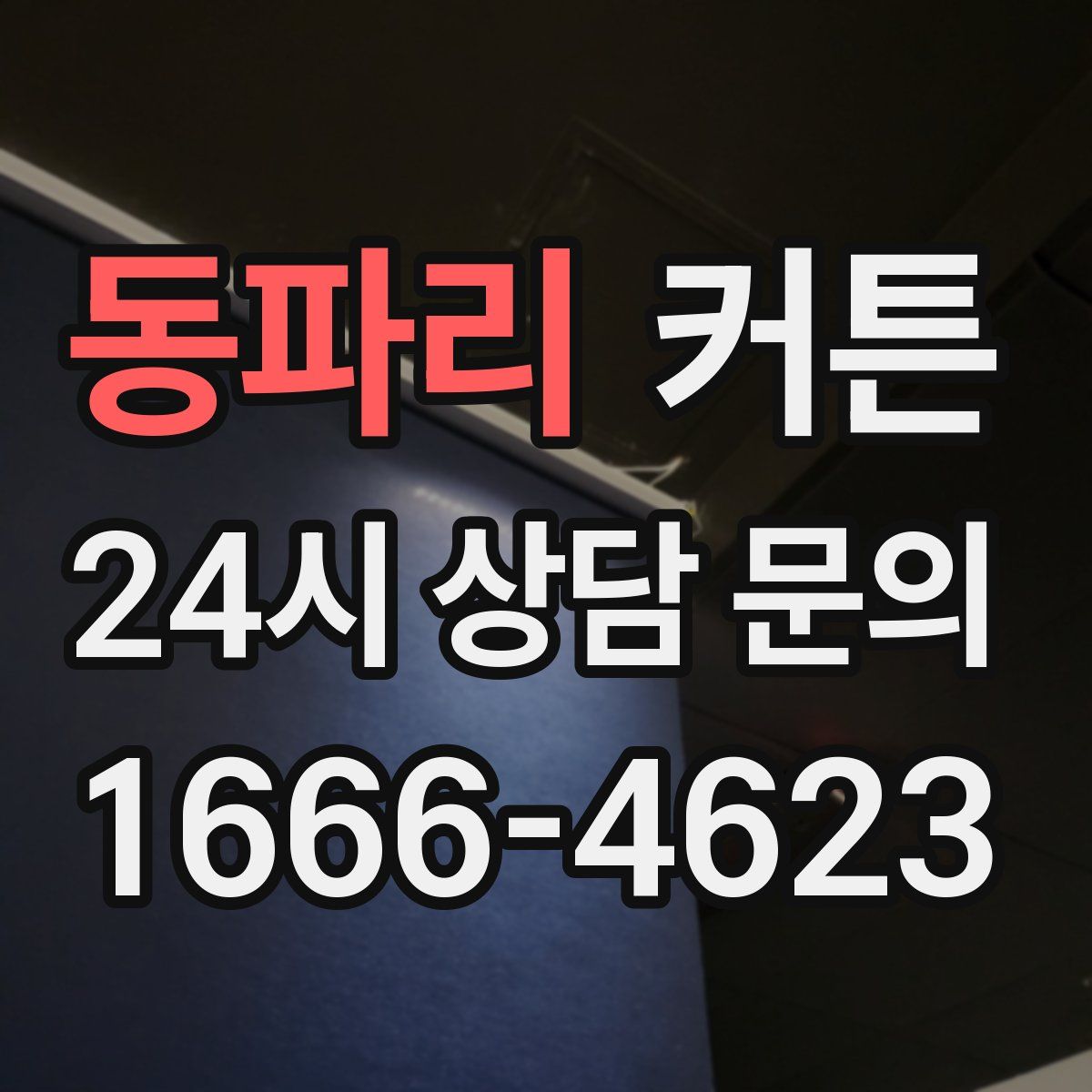 동파리 커튼