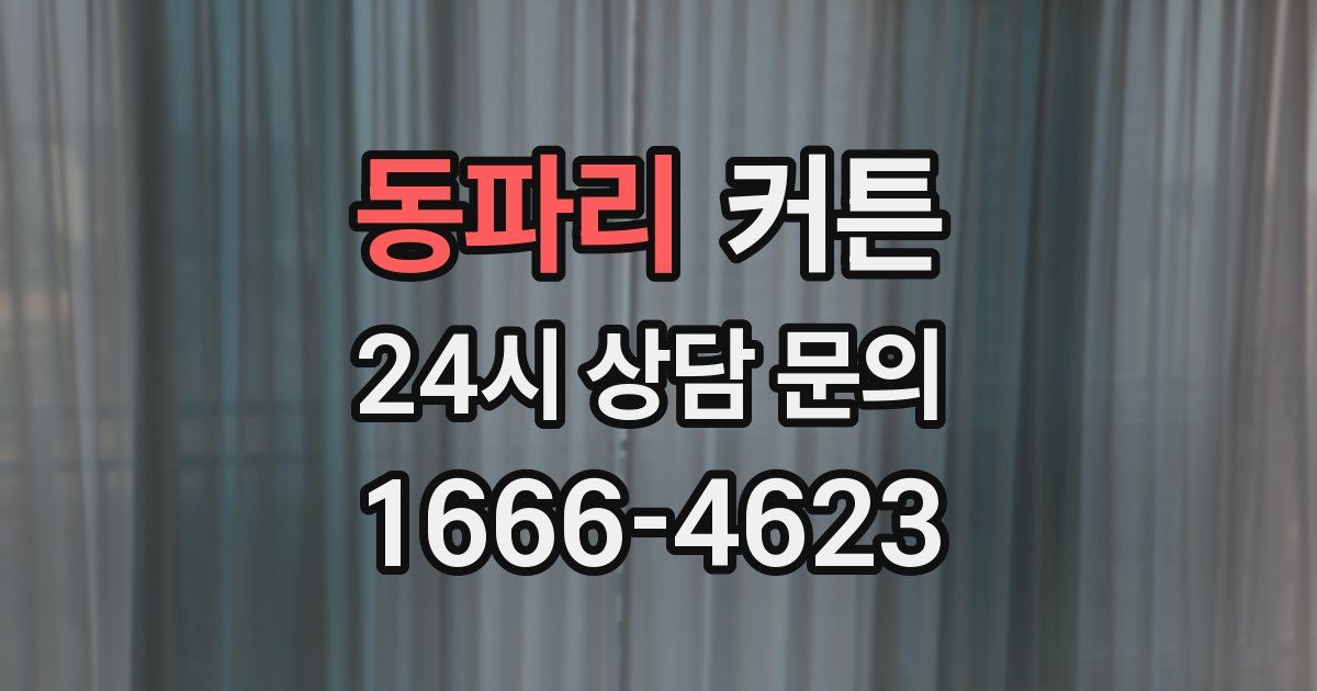 동파리 커튼