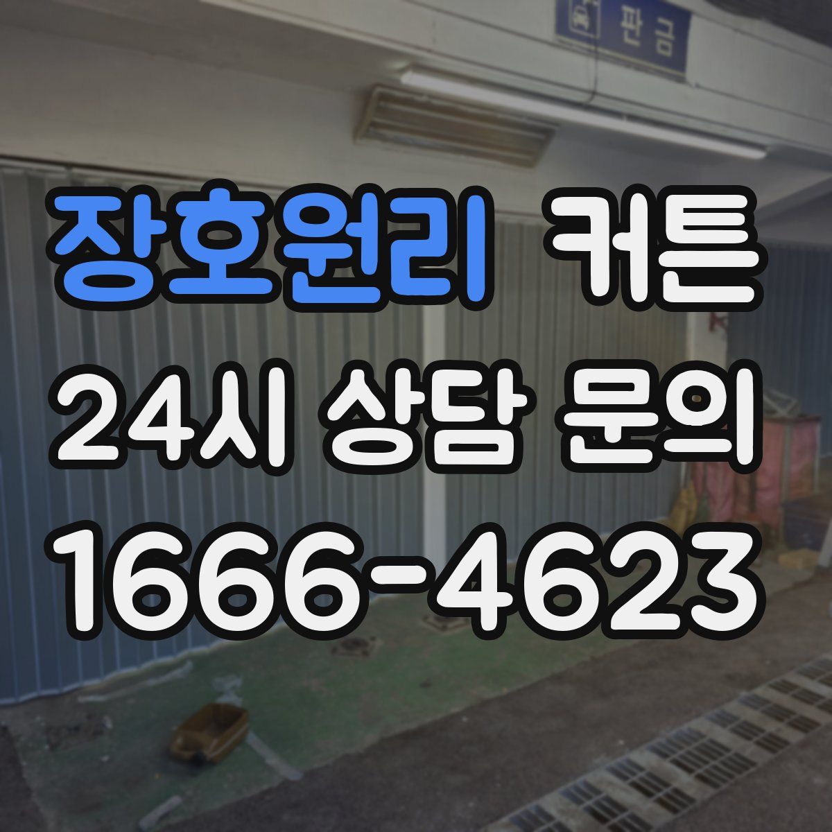 장호원리 커튼