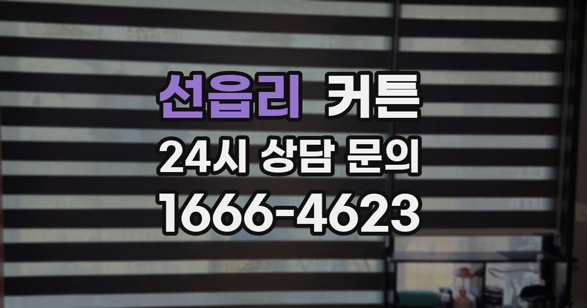 선읍리 커튼