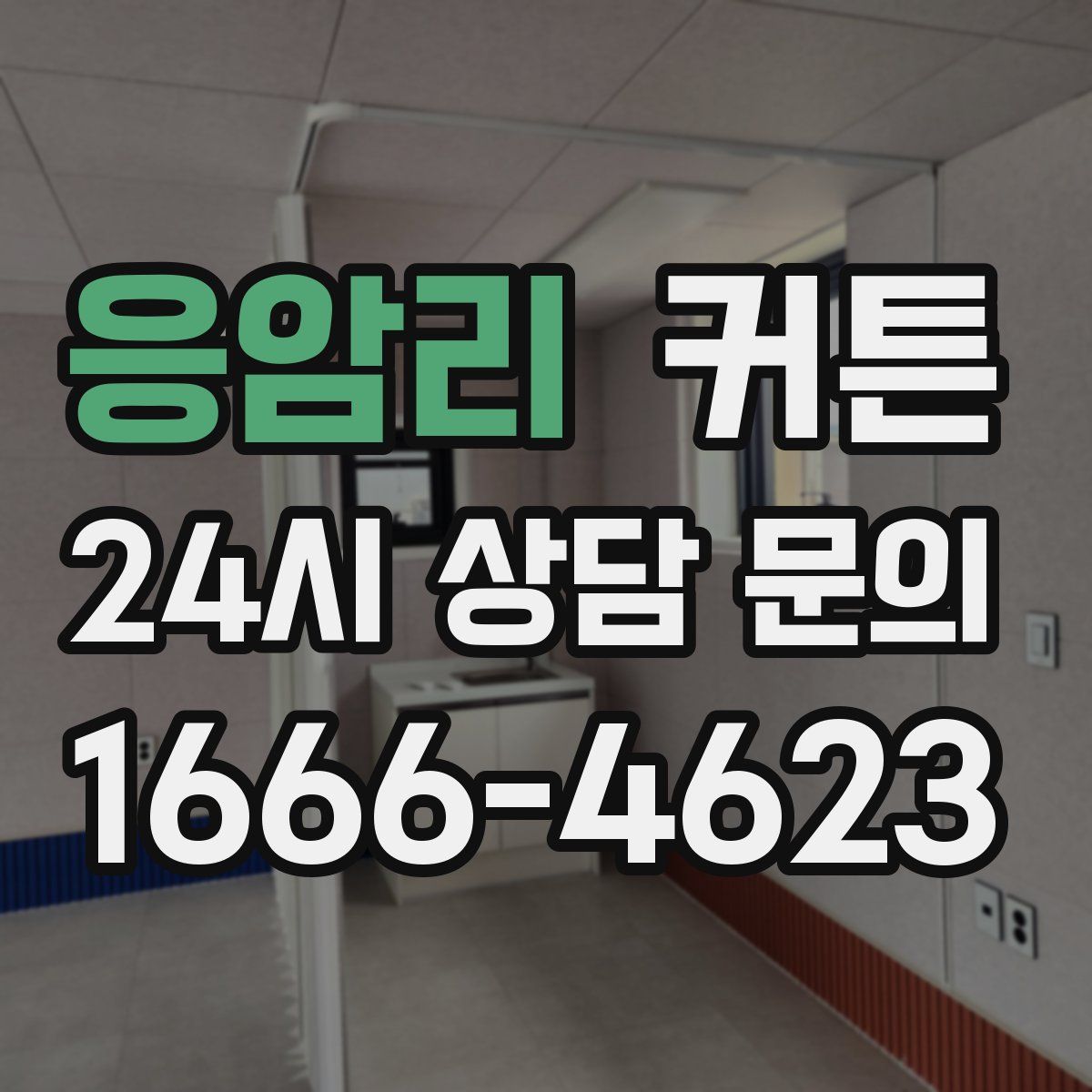 응암리 커튼