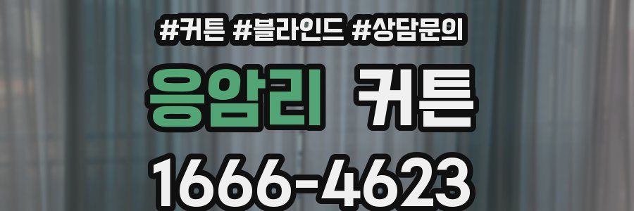 응암리 커튼