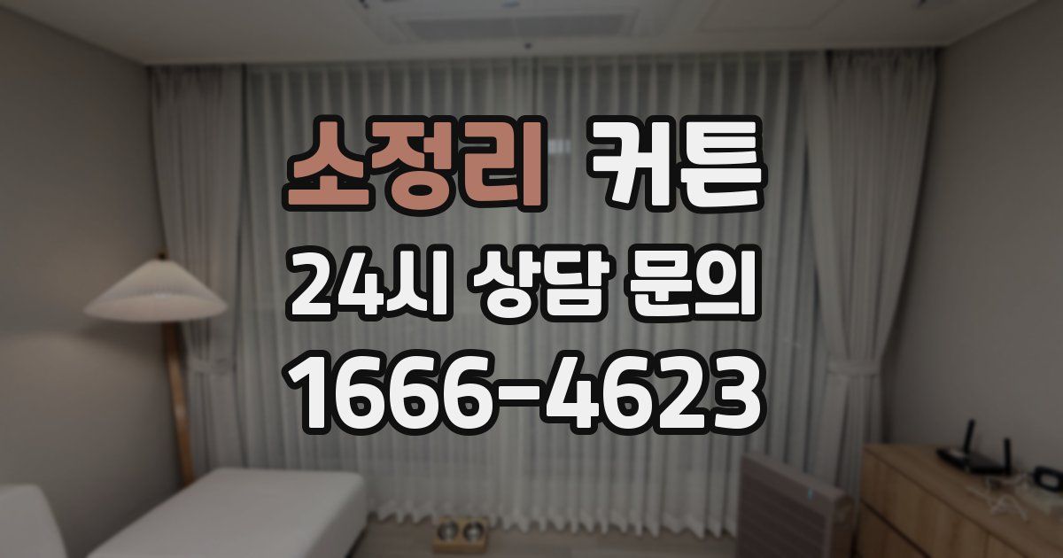 소정리 커튼