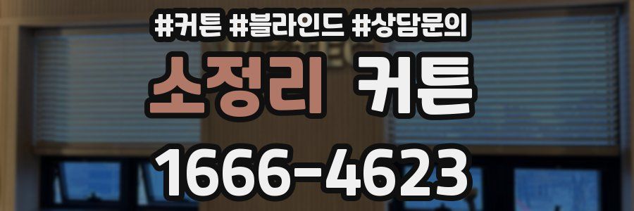 소정리 커튼