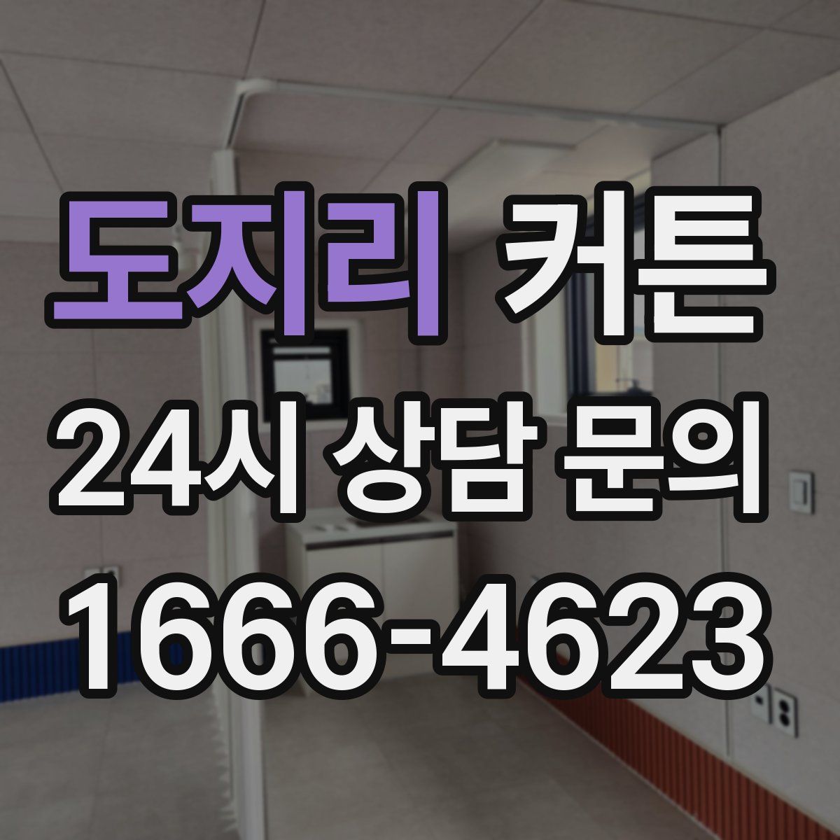 도지리 커튼